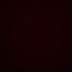 Meet your Posher, Elijah